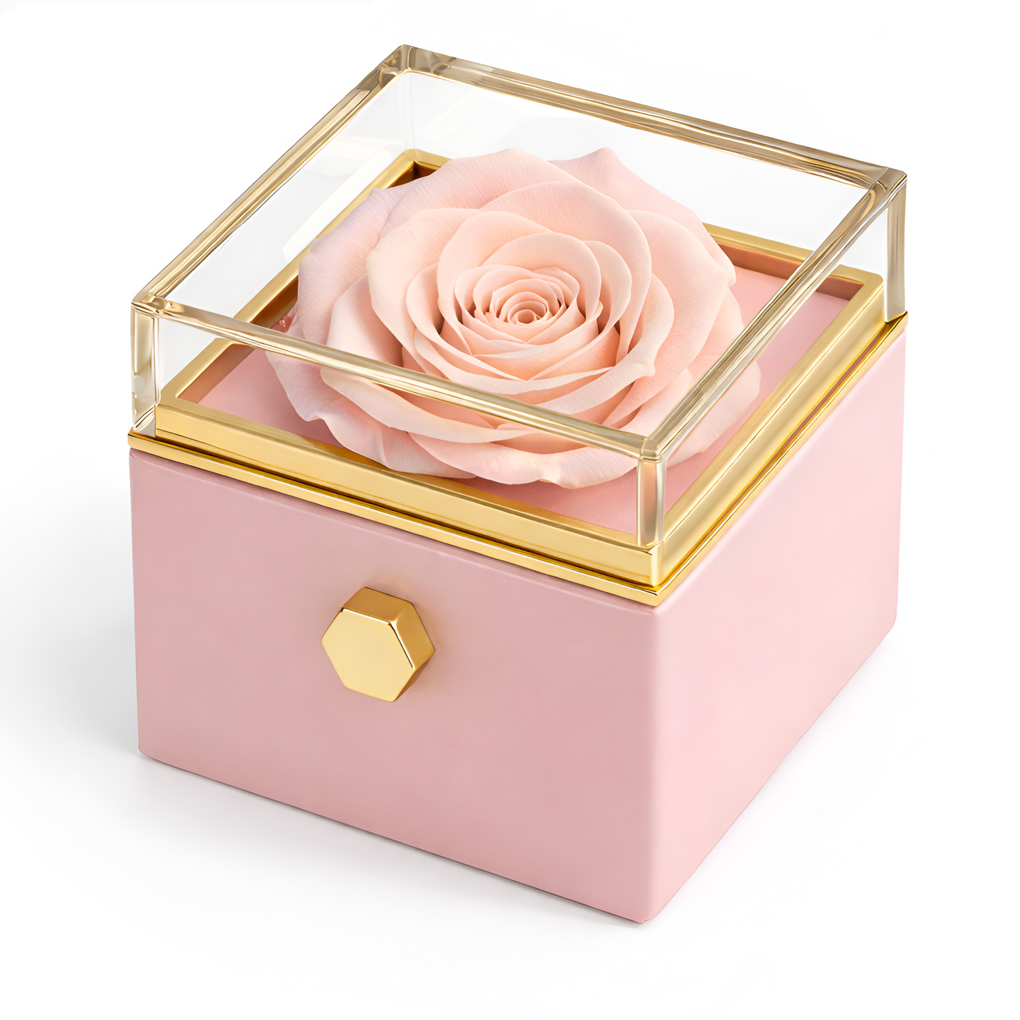 Caja de Rosa Eterna | Rosa Real y Collar Personalizado