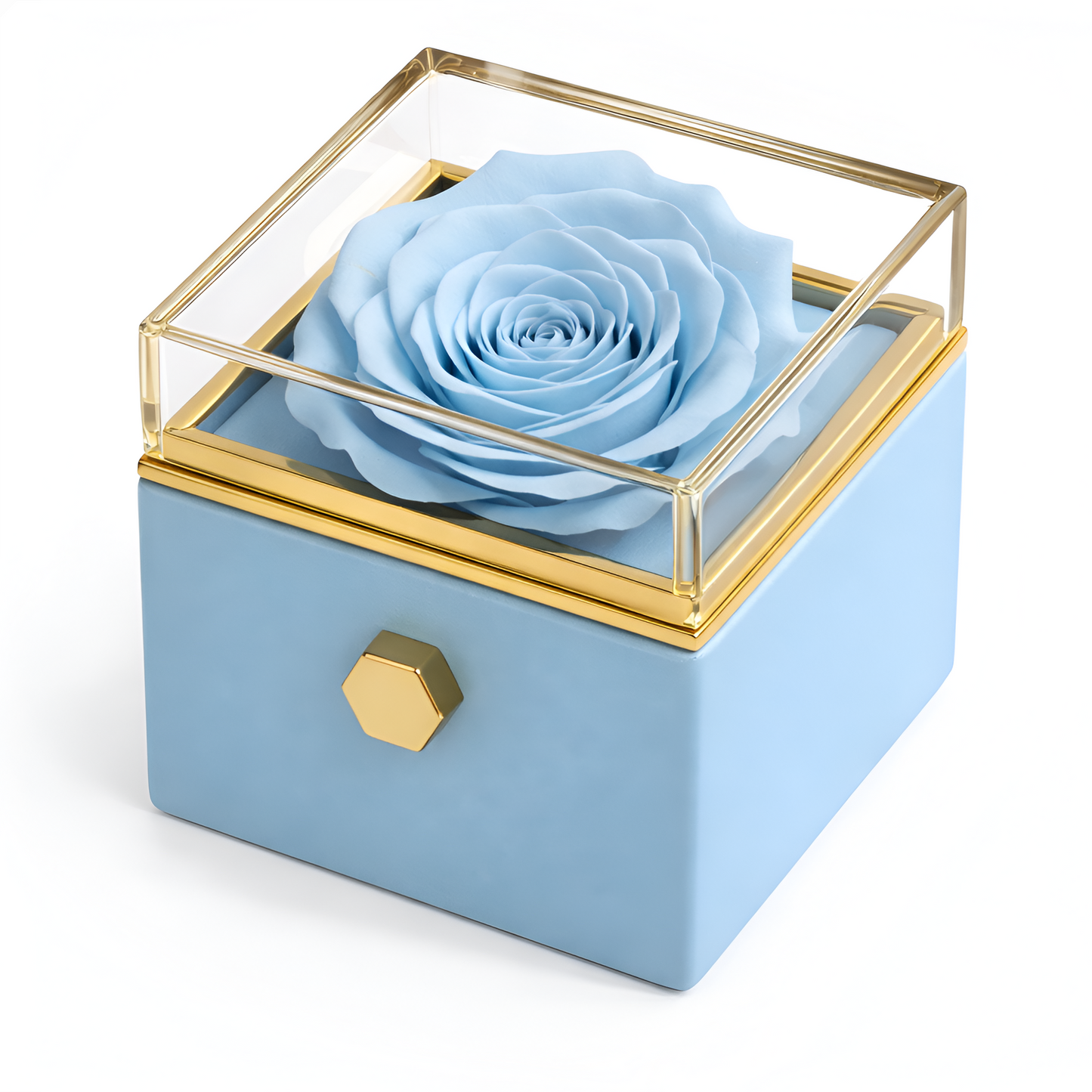 Caja de Rosa Eterna | Rosa Real y Collar Personalizado