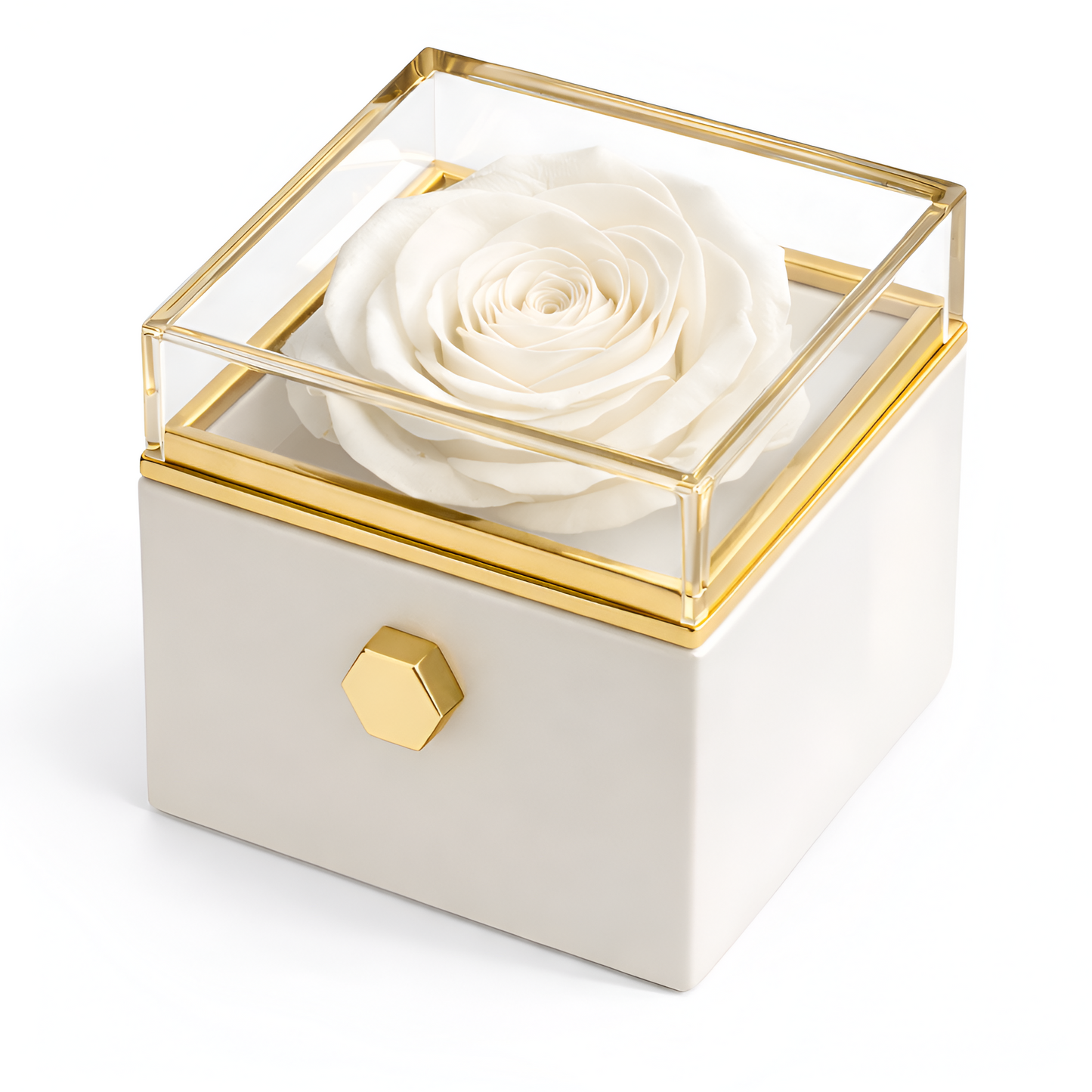 Caja de Rosa Eterna | Rosa Real y Collar Personalizado